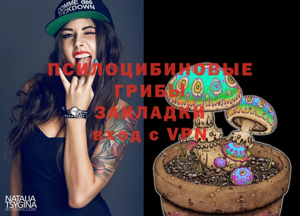 прущая мука Инсар