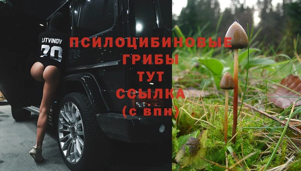 метамфетамин Инта
