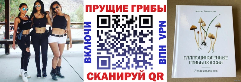 Галлюциногенные грибы MAGIC MUSHROOMS  Купить  Ивантеевка 